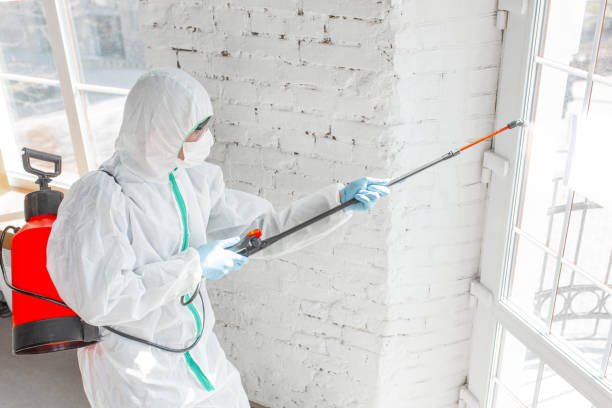 Best Carpet water damage restoration  in , AL